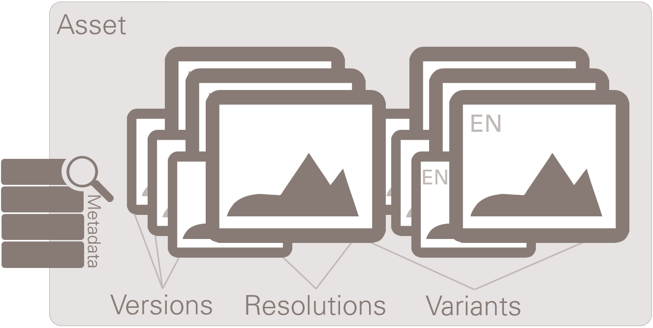 IDS-DAM-assets-schematic